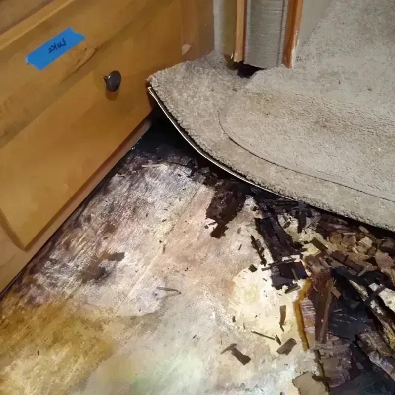 Wood Floor Water Damage in Point Baker, FL